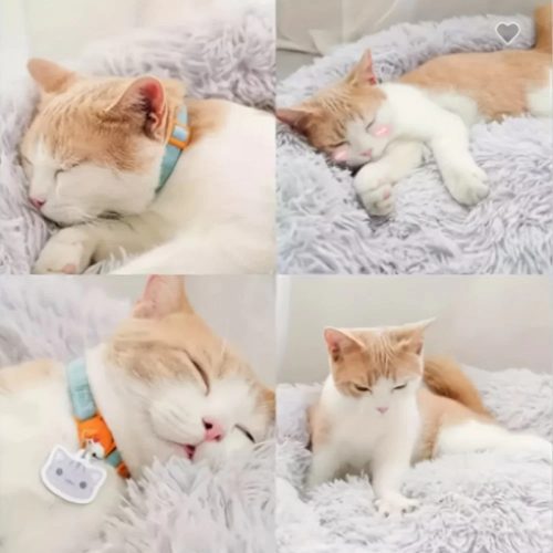 Kerek puha szőrmés fekhely - 50cm - Szürke