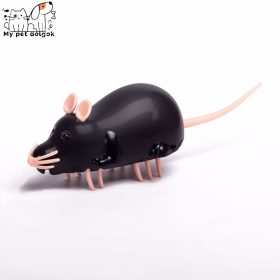 Intelligens futó egér cicáknak