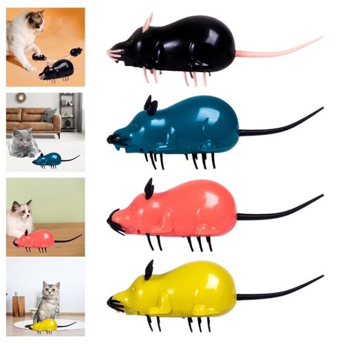 Intelligens futó egér cicáknak