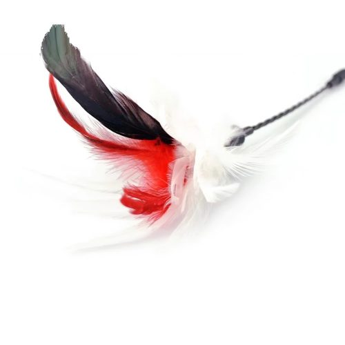 Rugalmas cica játékpálca tollakkal