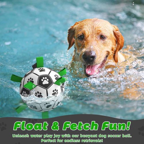 Kutya football labda-pántokkal