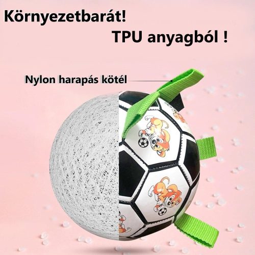 Kutya football labda-pántokkal