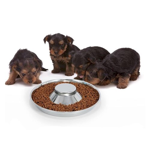 Rozsdamentes etetőtál kölyök kutya elválasztására - L