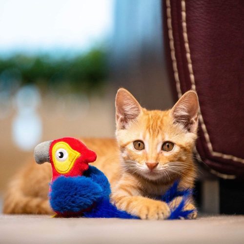 Macskamentás plüss papagáj macskáknak