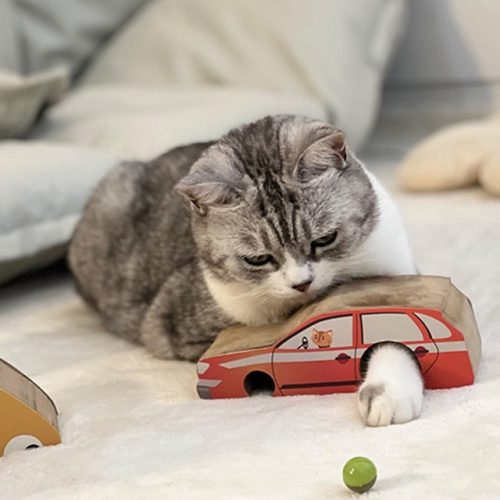 Magic organ macska kaparó játék -kocsi