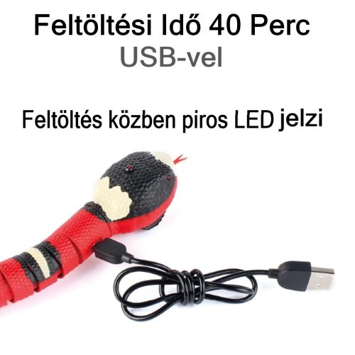 Kisállat interaktív elektromos játék kígyó,usb-s