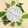 Szilikon fondant és marcipán mintázó-Páfrány