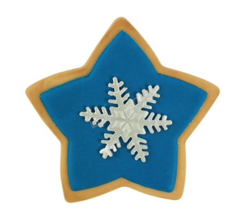 Műanyag sütemény kiszúró-6 darab csillag