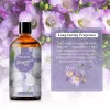 PHATOIL prémium illatolaj 100ml - Frézia