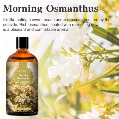 PHATOIL prémium illatolaj 100ml - Morning Osmanthus