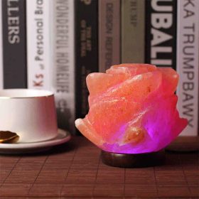 Színváltós Himalája Só Lámpa –  Rózsa forma