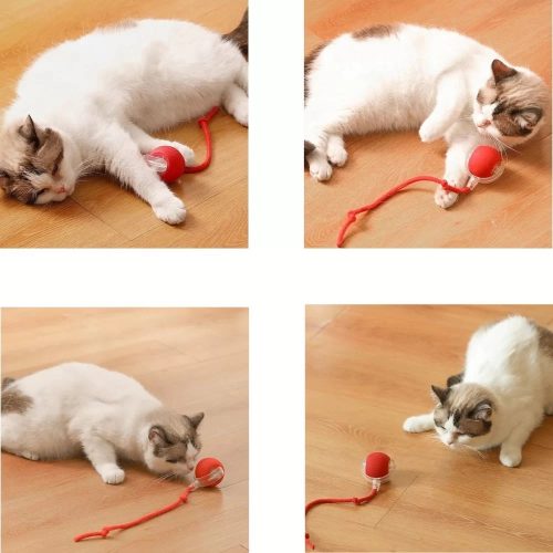 Kisállat interaktív csíkos gurulólabda kötéllel, piros